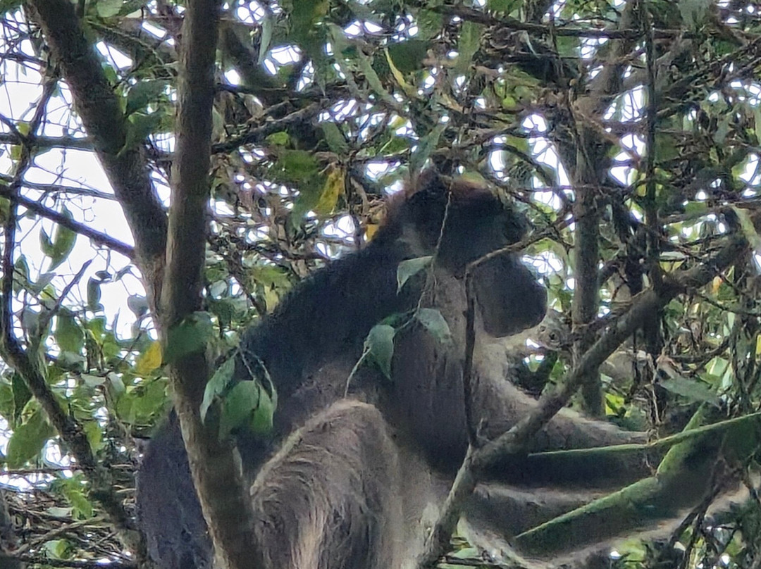 BUGOLI ADVENTURES LIMITED-卡巴莱必去景点