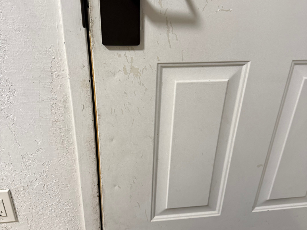 圣罗莎贝斯特韦斯特酒店主图