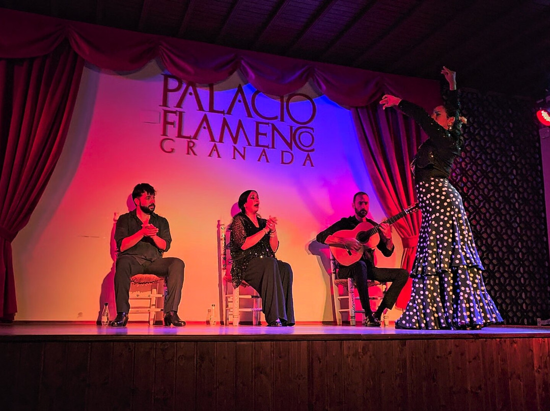 Palacio Flamenco-格拉纳达必去景点