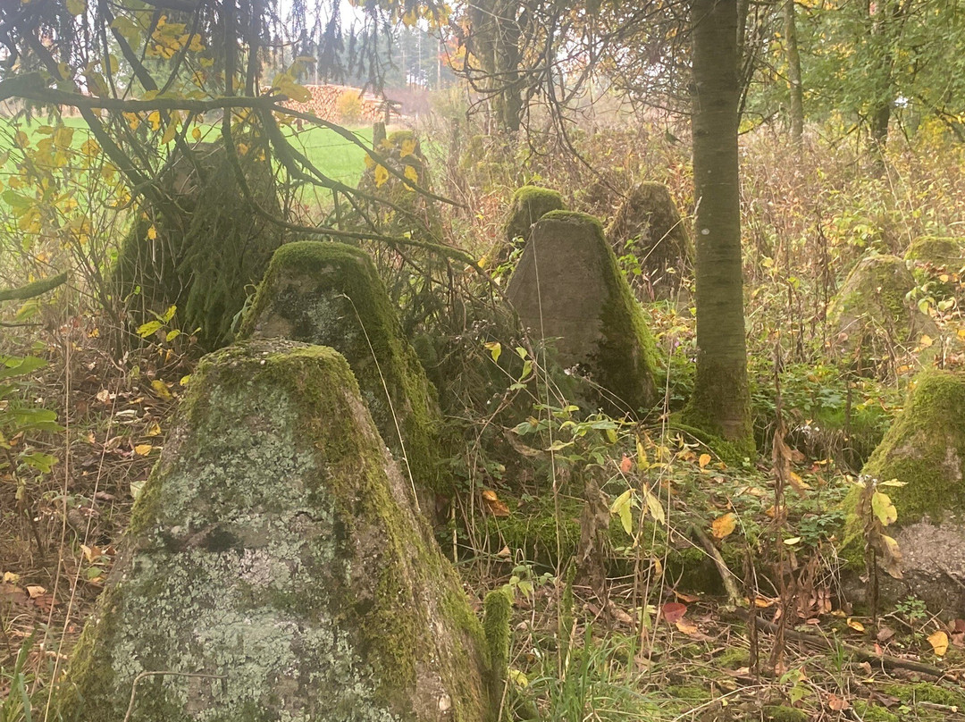 Reg Jans Battlefield Experience - Day Tours-巴斯东必去景点