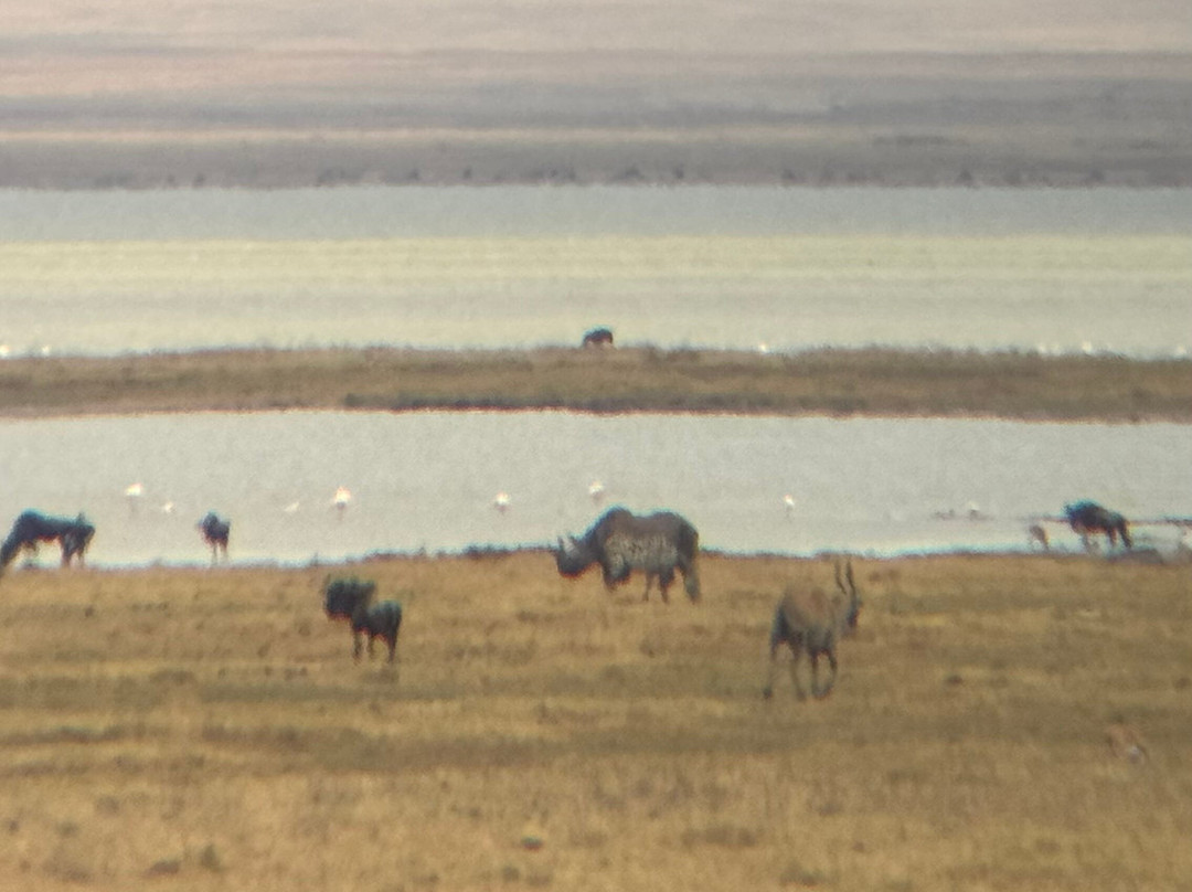 Afromasai Eastern Safaris-阿鲁沙必去景点