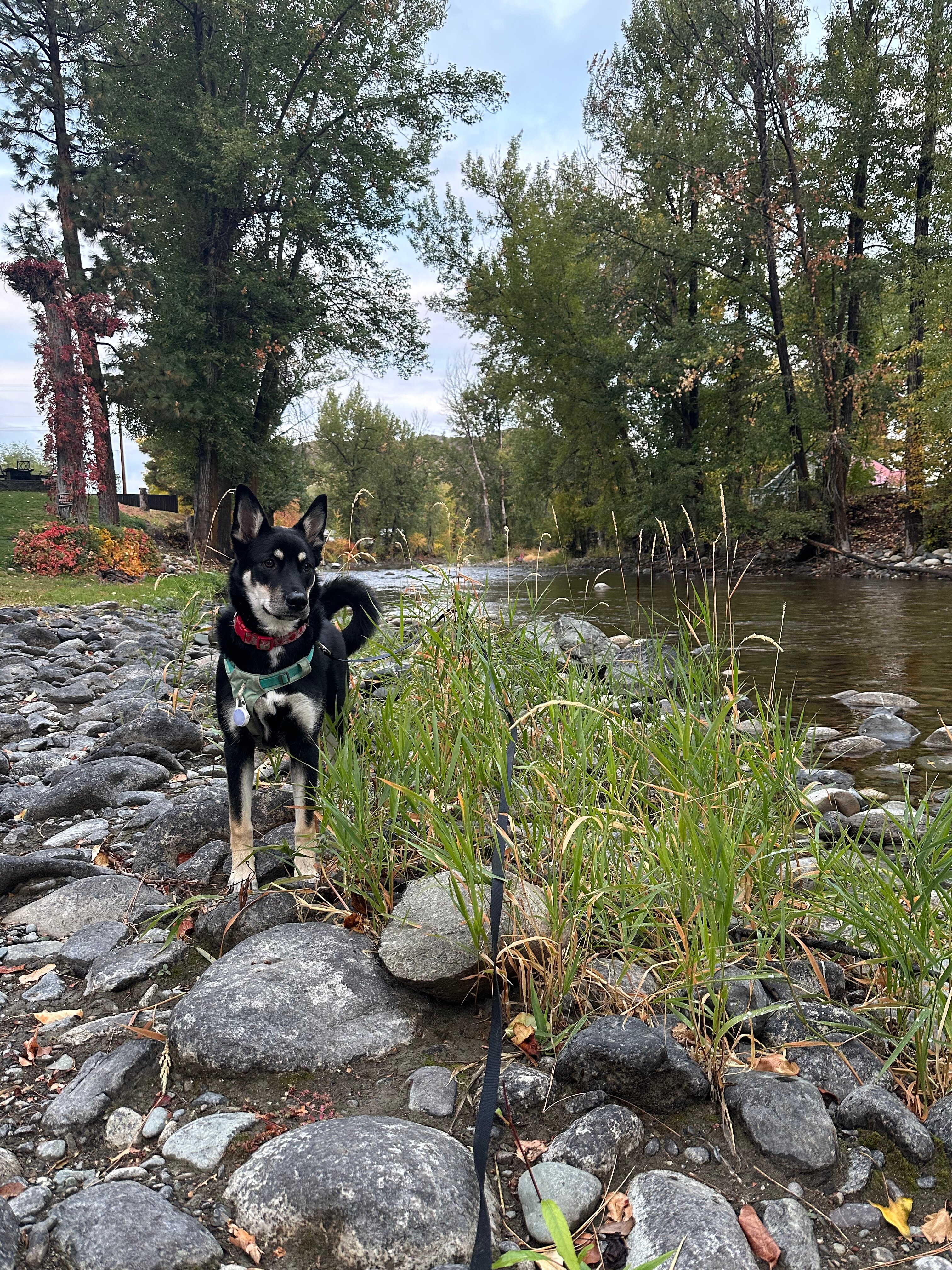 Twisp River Suites-官方