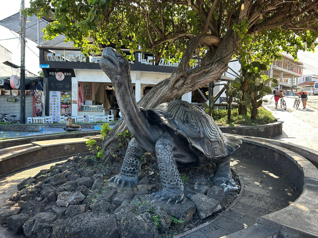 Monumento de la Tortuga-阿约拉港必去景点