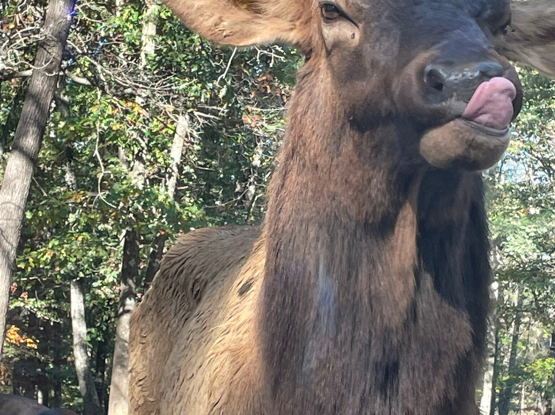 弗吉尼亚游猎公园-天然桥必去景点