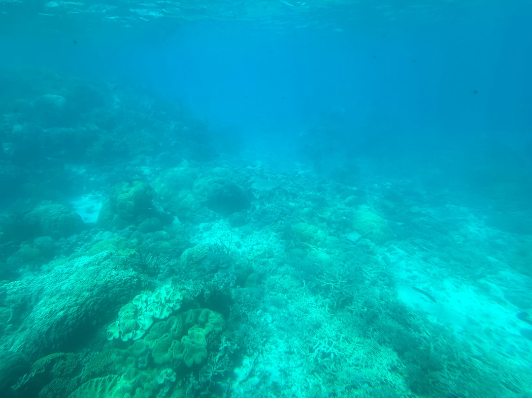 Nautilus Aviation-Garbutt必去景点