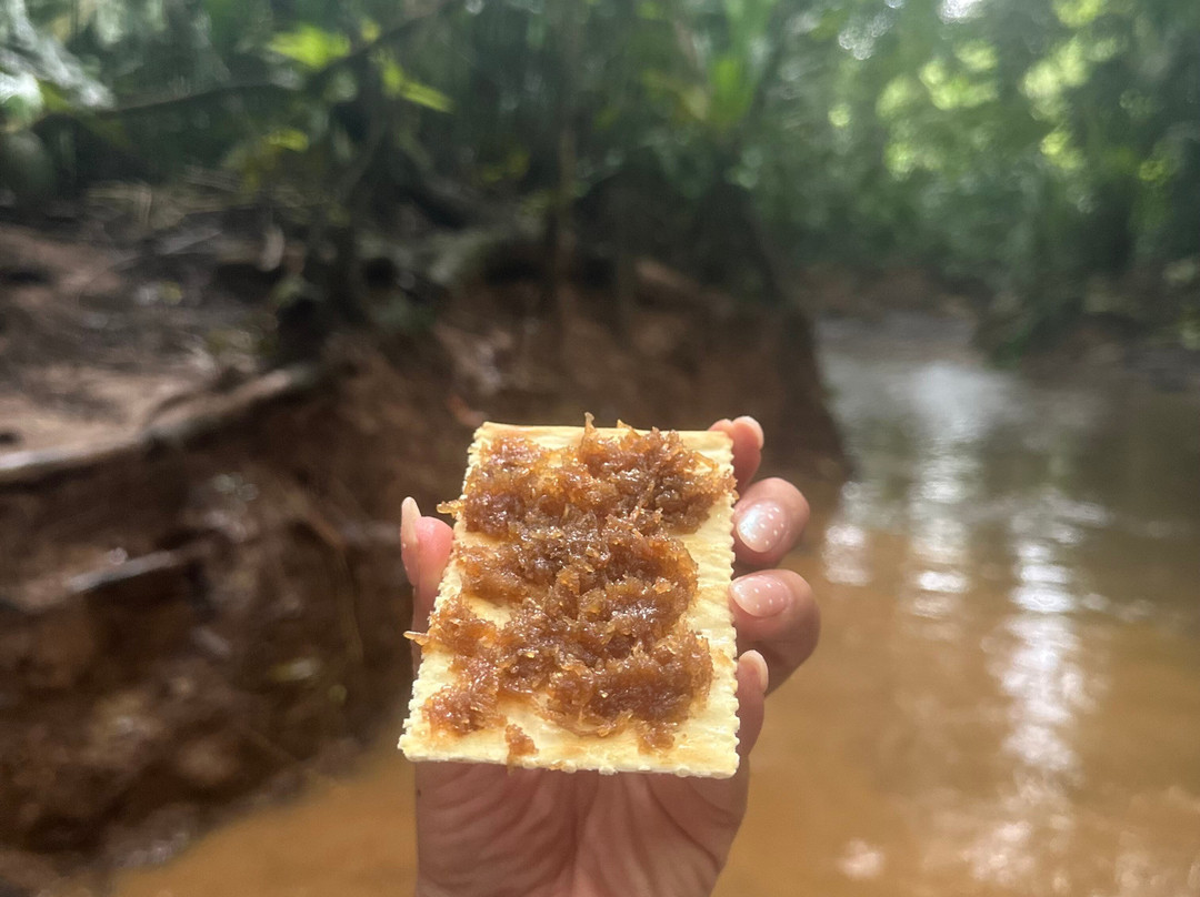 Tundo Tours-Bahia Solano必去景点