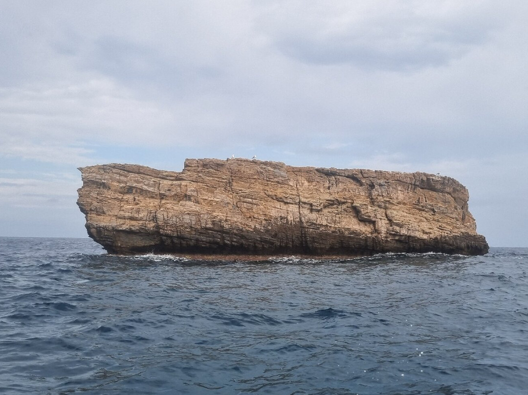 Thalassa Diving Academy-Khalkis必去景点