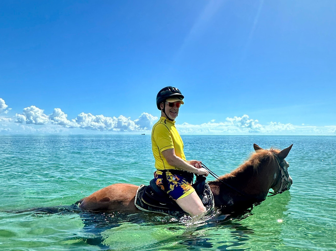 Provo Ponies-Long Bay Hills必去景点