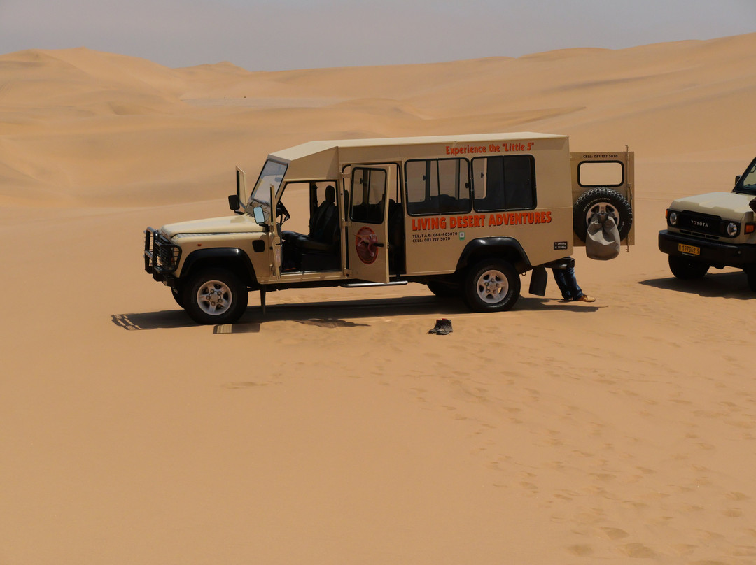 Living Desert Adventures Discover the Little 5-斯瓦科普蒙德必去景点