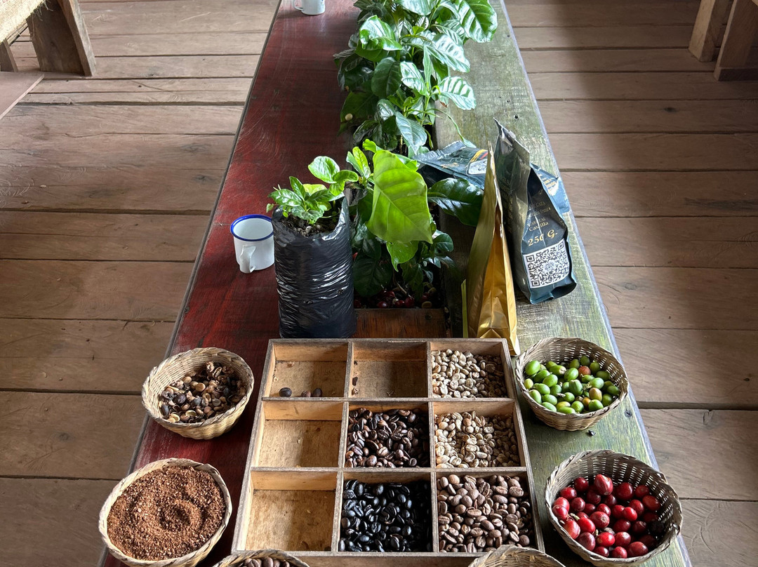 Coffee Tour Luger-萨伦托必去景点