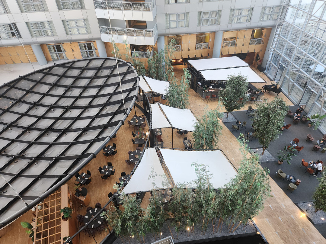 凯越巴黎戴高乐机场