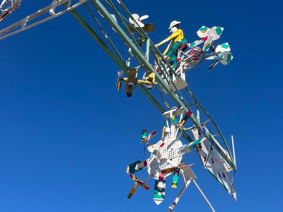 Vollis Simpson Whirligig Park-威尔逊必去景点