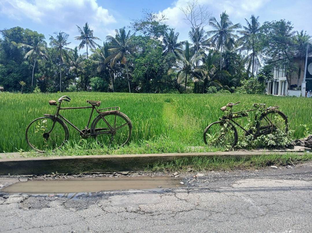 巴厘电动车之旅-乌布必去景点