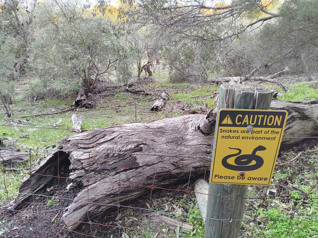 Piney Lakes Ecohub-Winthrop必去景点