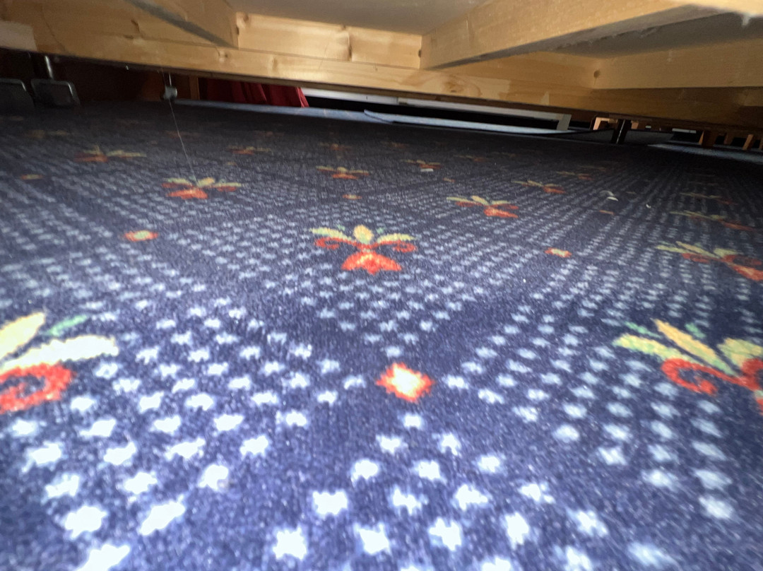 Hotel Drei Birken主图