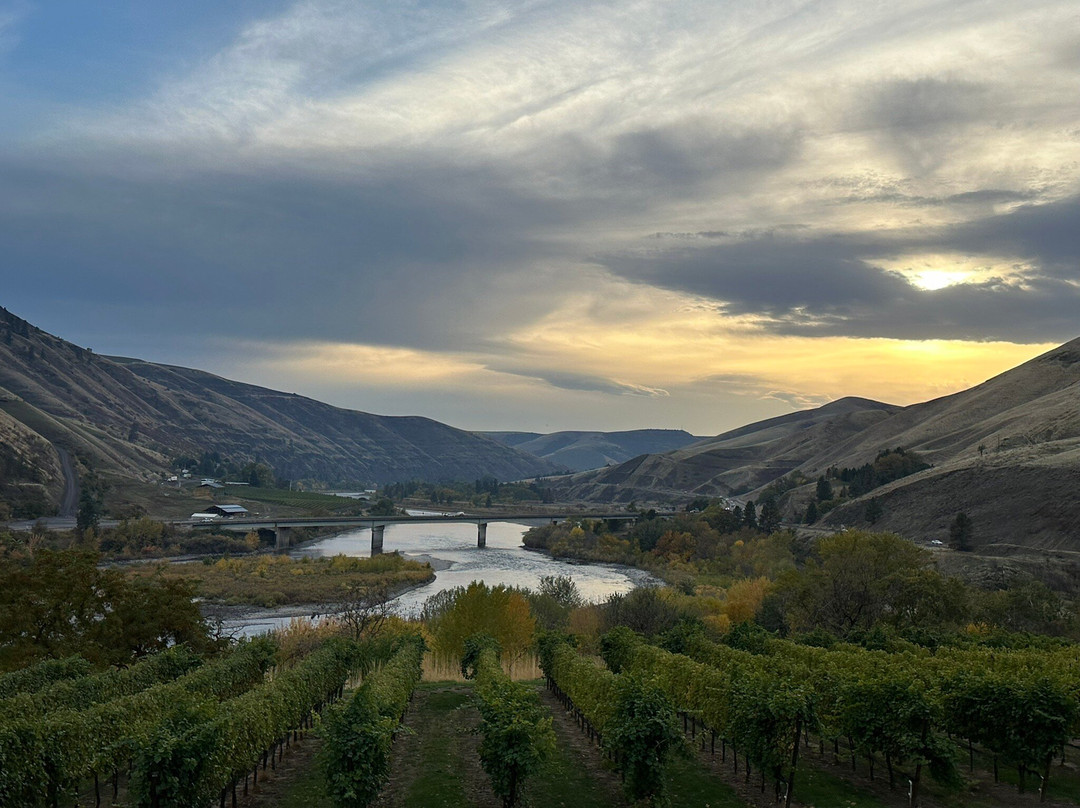 Twisted Vine Wine Tours, LLC-刘易斯顿必去景点