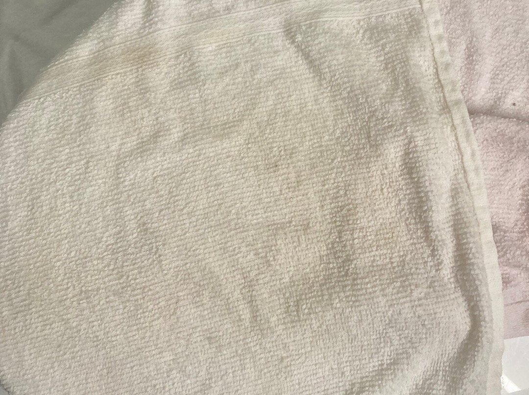 Microtel Inn & Suites by Wyndham Beckley East主图