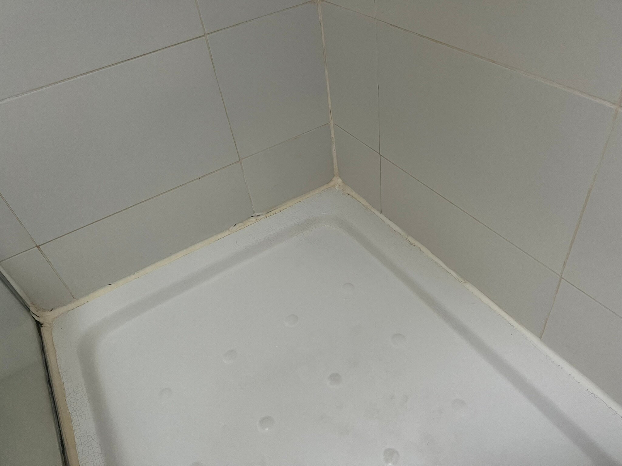 TUI BLUE Flamingo Beach-浴室