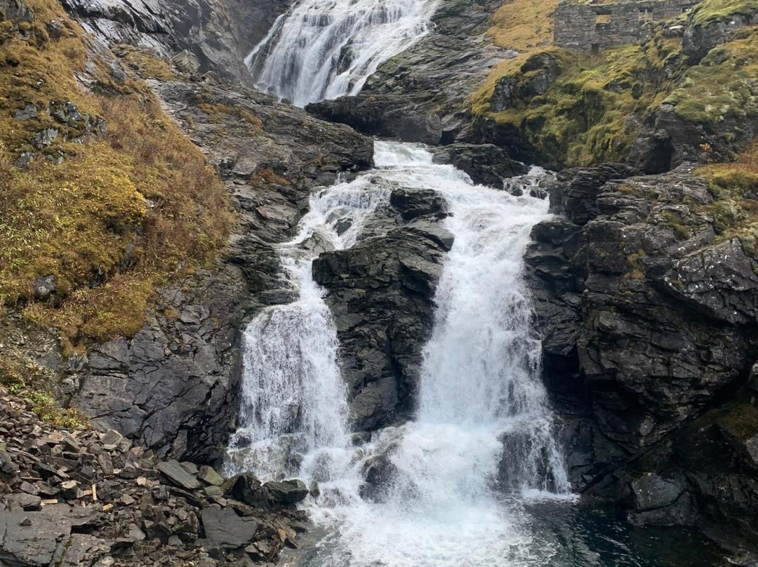 FjordSafari-弗洛姆必去景点