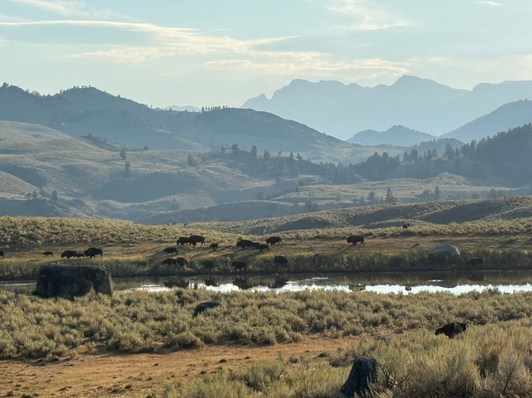 Skyline Guest Ranch and Guide Service主图