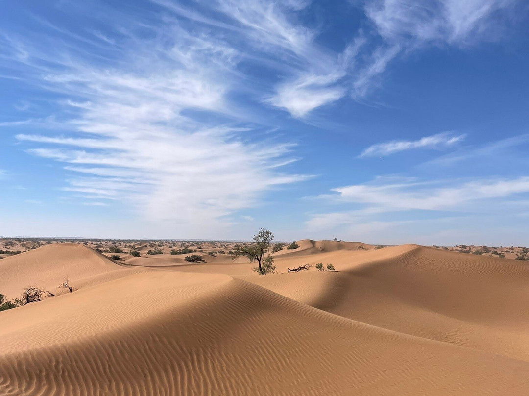Caravane Desert Et Montagne-扎古拉必去景点