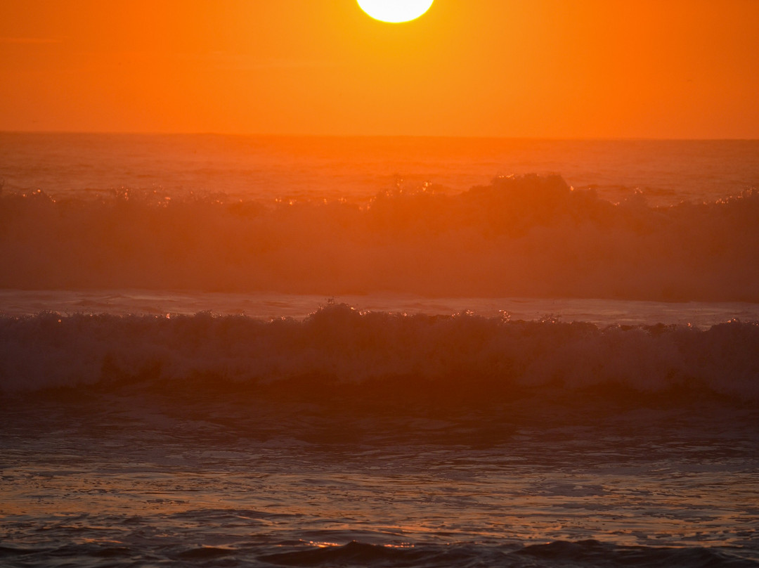 Hotel Mar Blanco主图