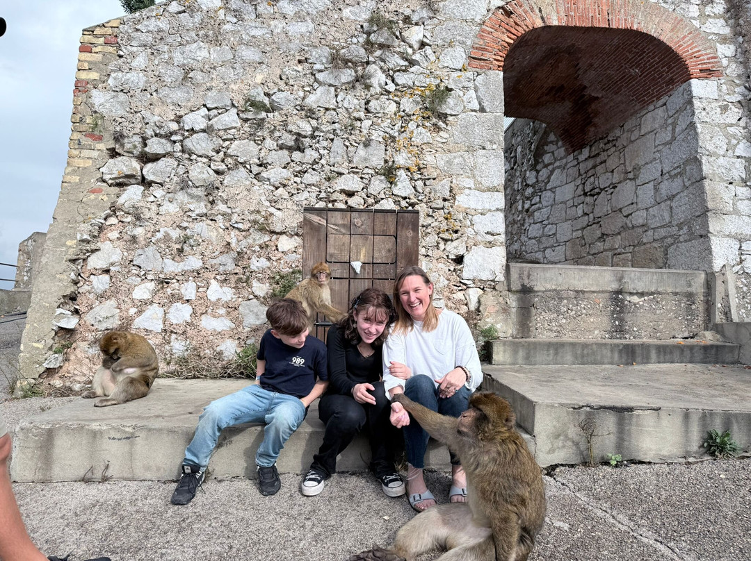 Rocky Monkey Gibraltar Tours-Gibraltar Town必去景点