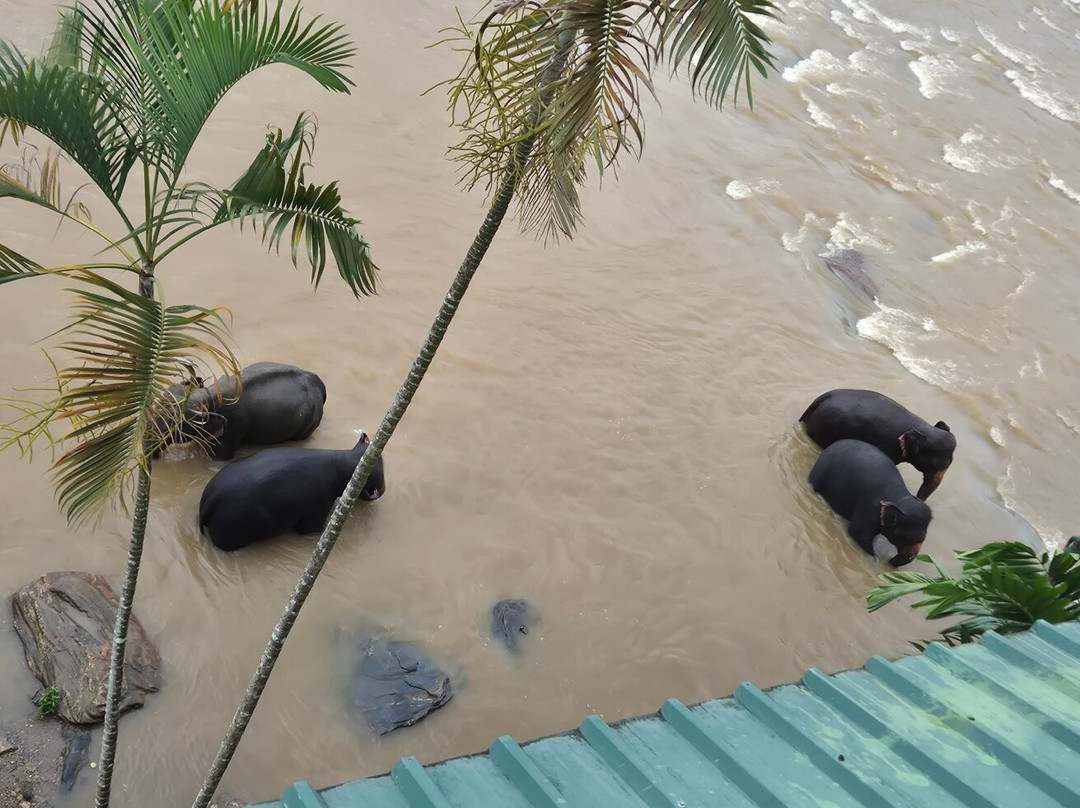 大象公园酒店主图