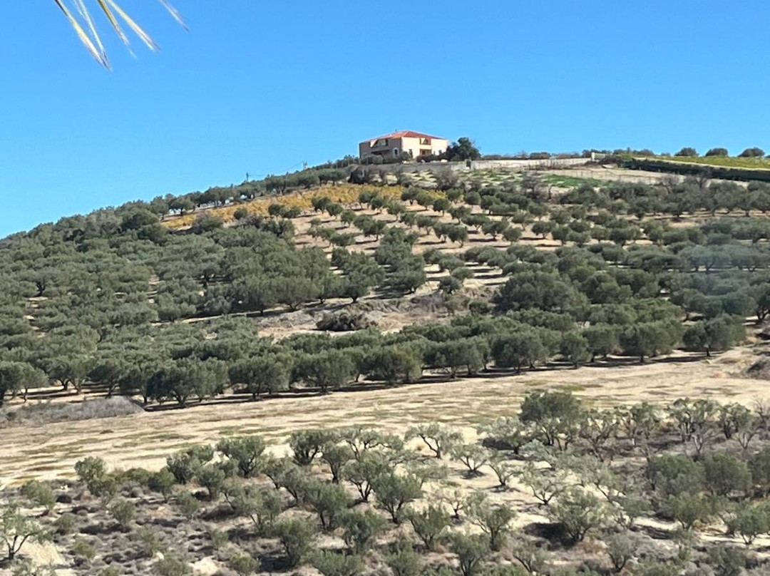 Koronekes-Archanes必去景点