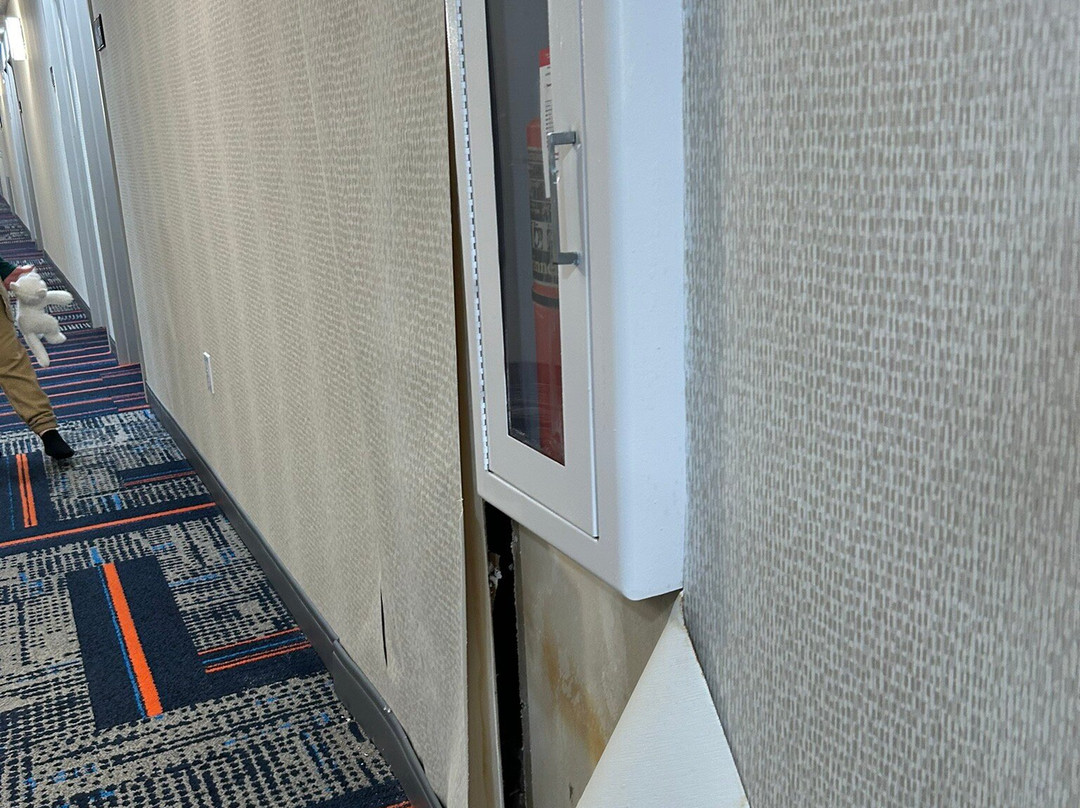 Hampton Inn Williamsburg主图