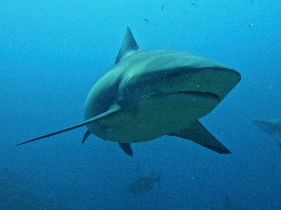 Aqua-Trek-太平洋港必去景点