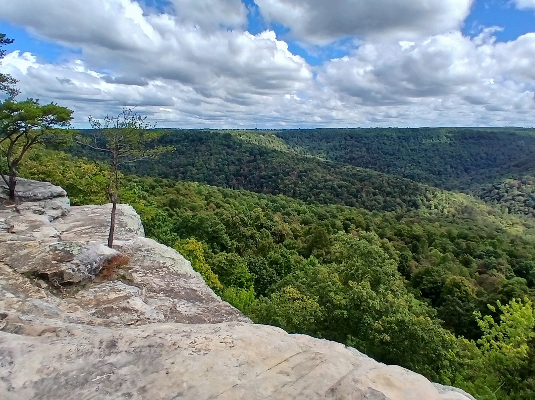 Bee Rock Overlook-蒙特利必去景点