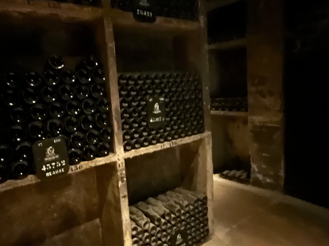 Patriarche Pere & Fils-博讷必去景点