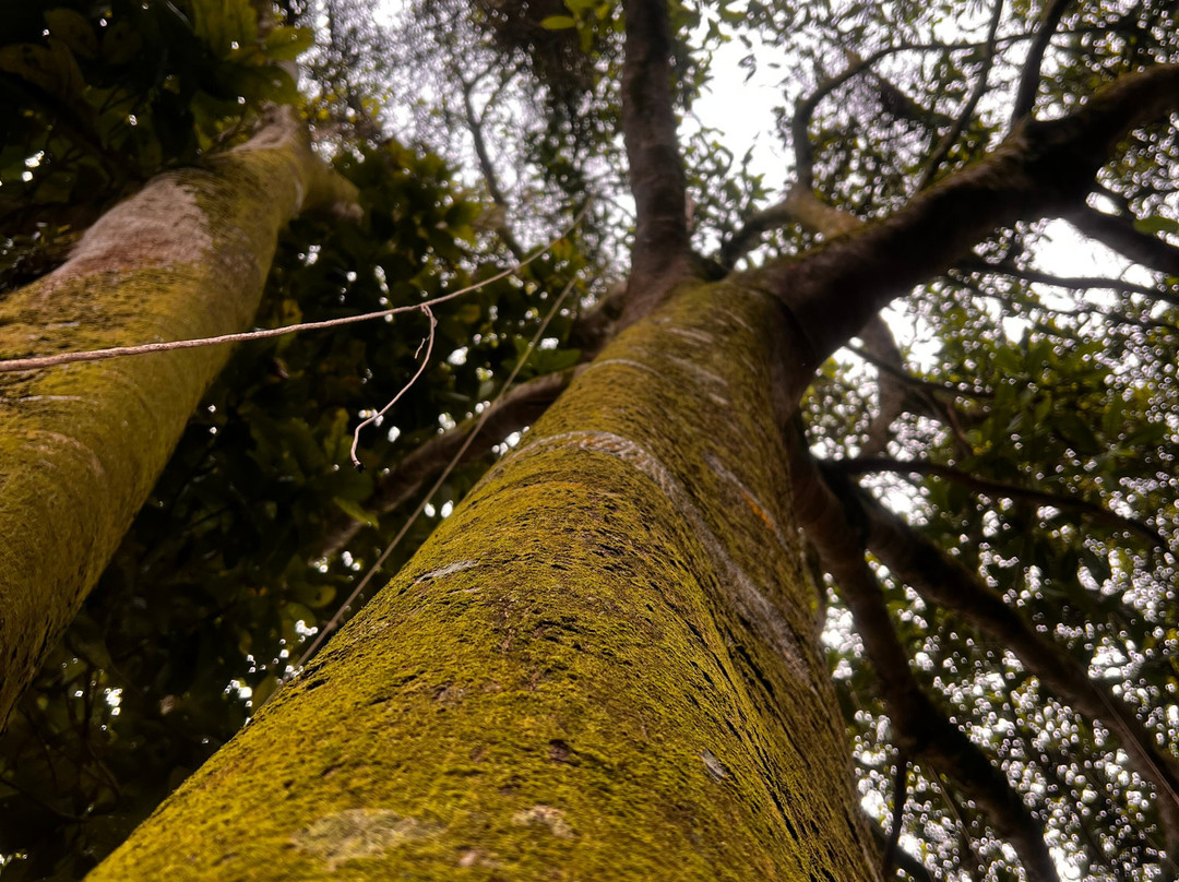 Hotel Spa La Colina主图