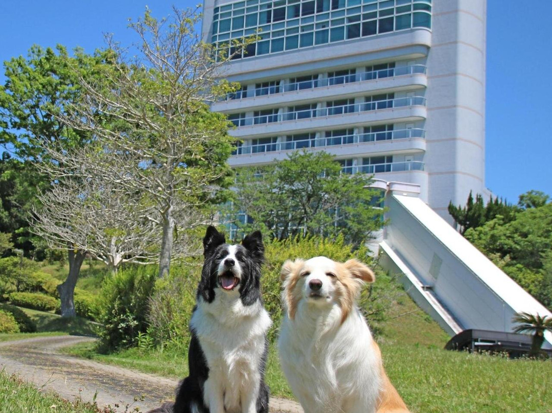 Nanki Shirahama Wan Wan Paradise