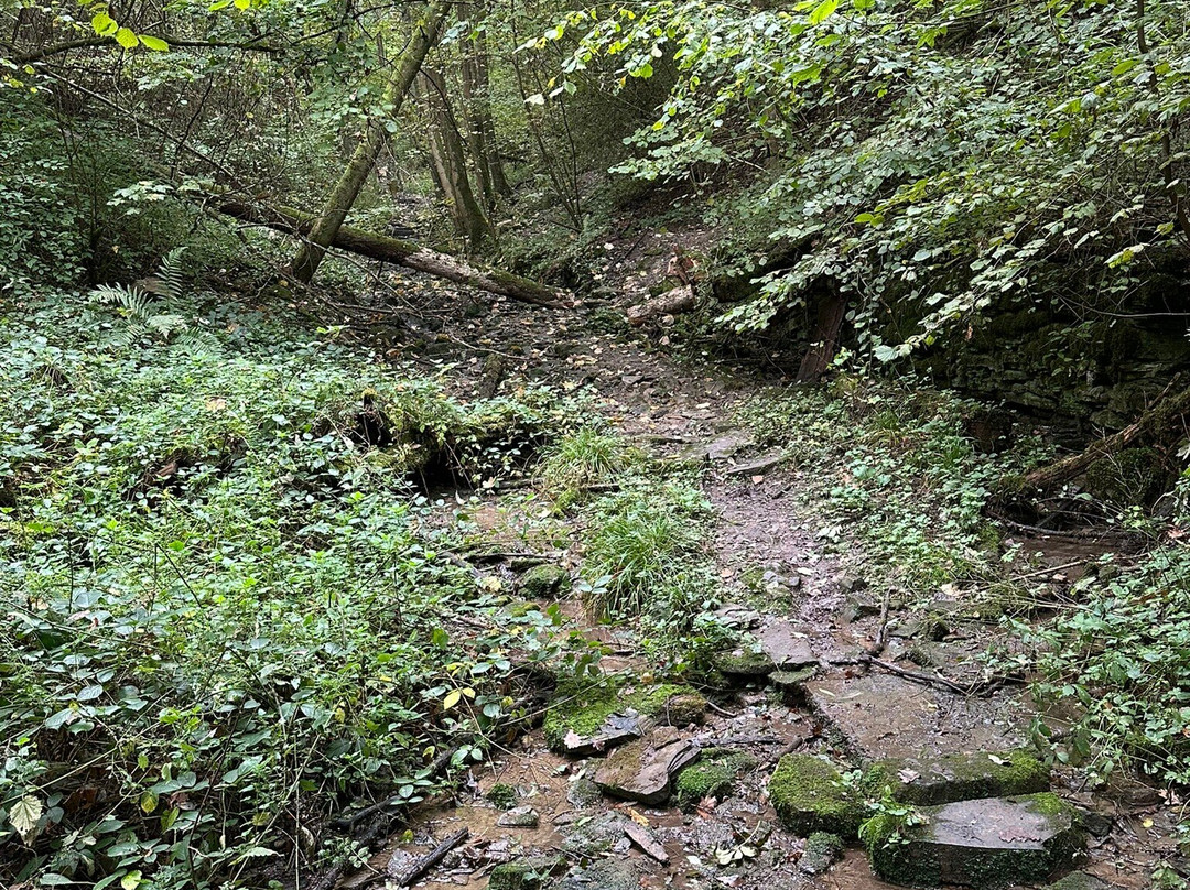 Magische Heimbach - Wanderung-Meisenheim必去景点