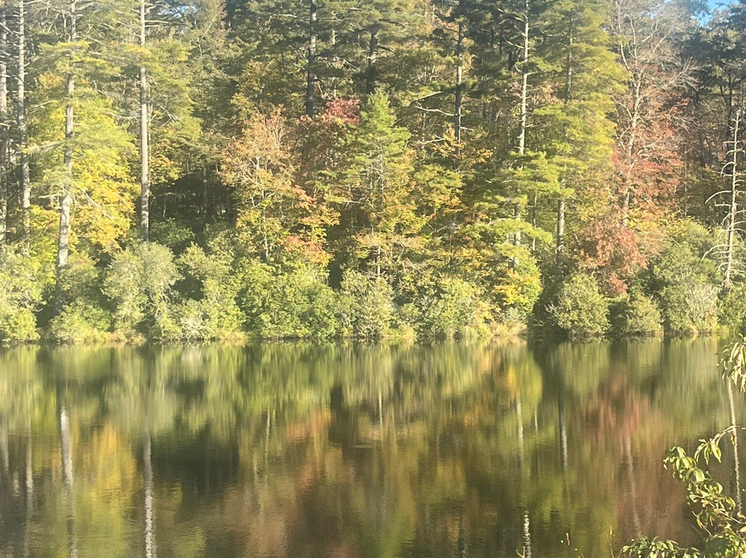 High Hampton Resort主图