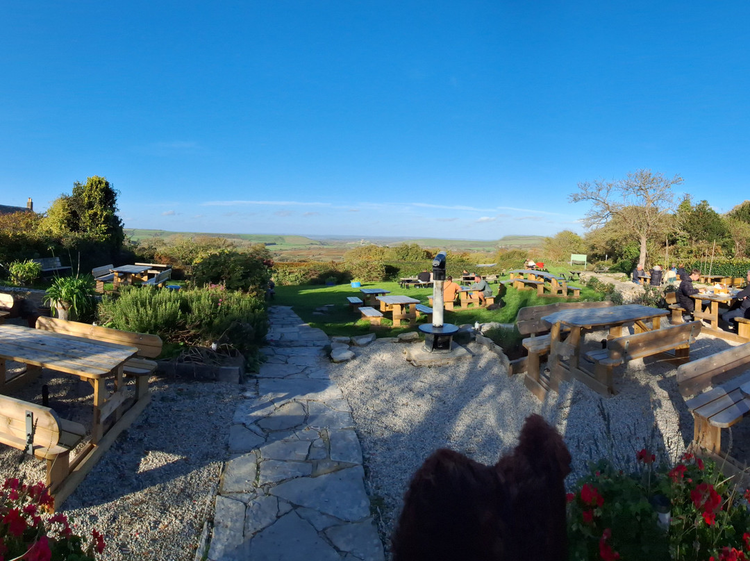 The Scott Arms主图