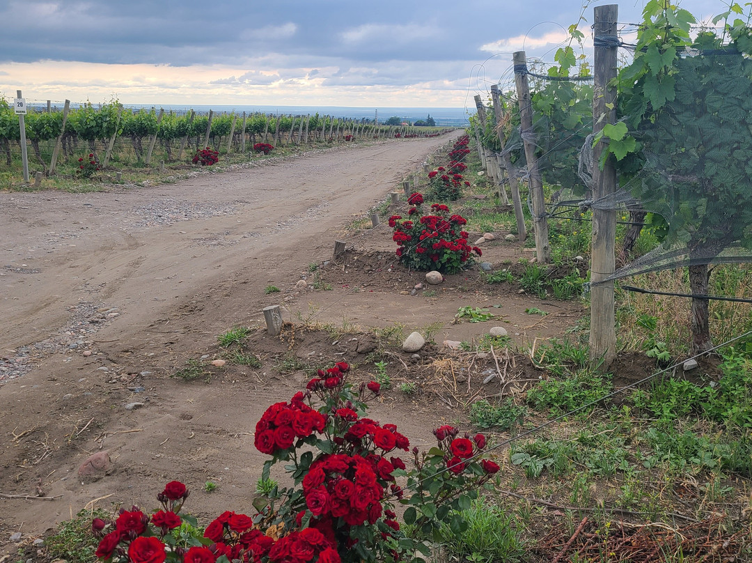 Finca Sophenia-Tupungato必去景点