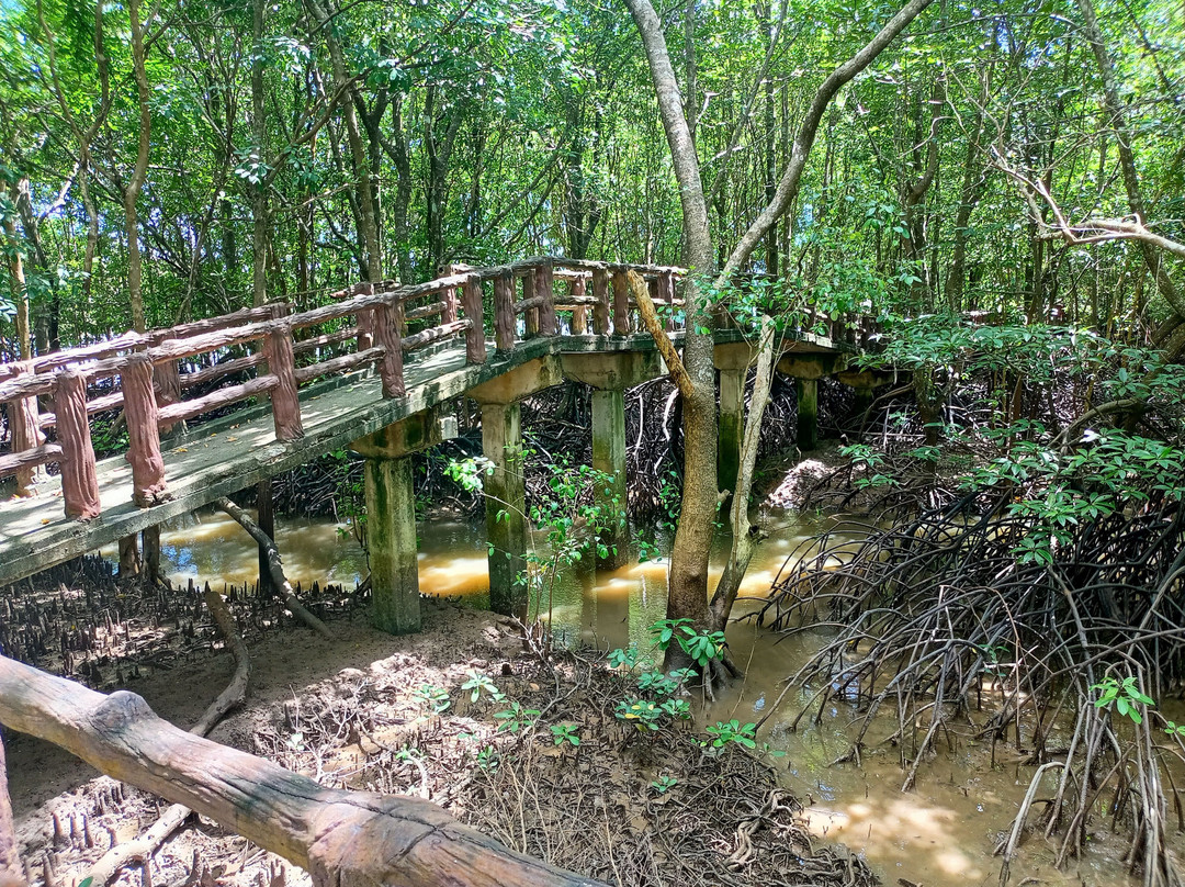 Krabi Urban Forest-Pak Nam必去景点