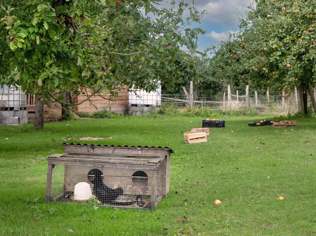 La Chevre Rit-格兰维尔必去景点