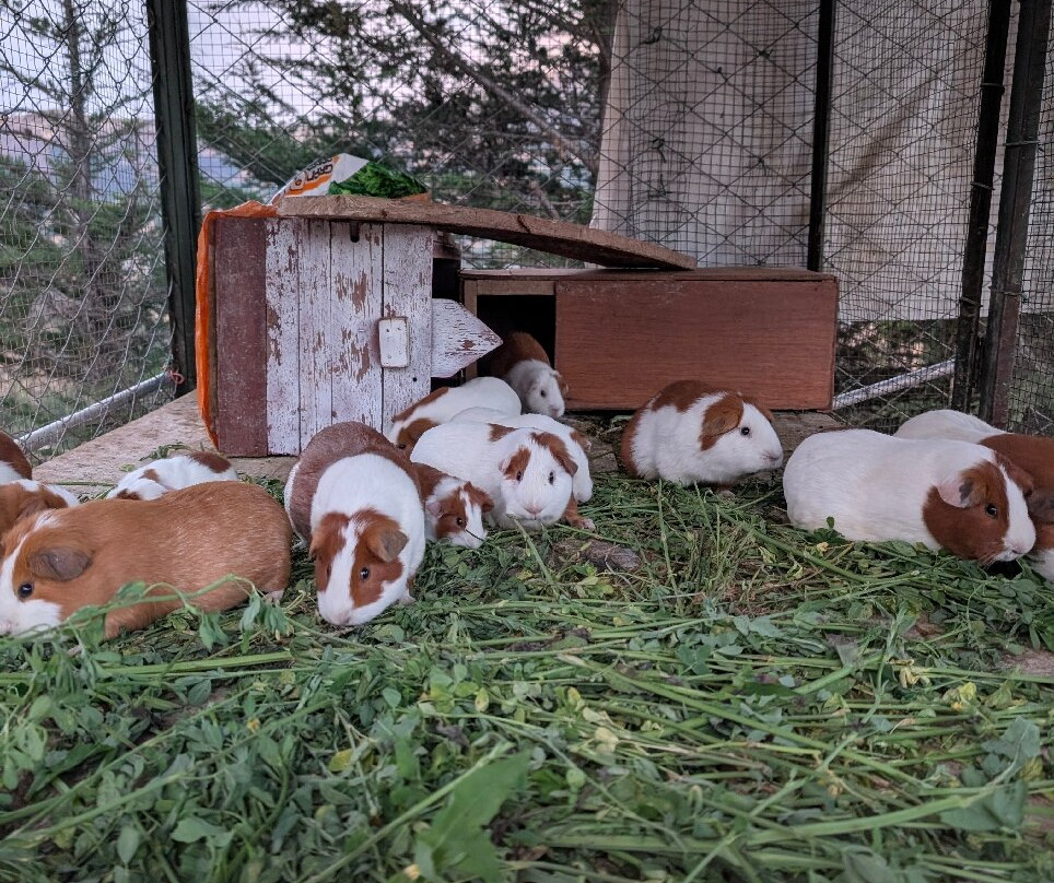 Tuki Llajta Pueblo Bonito Lodge主图