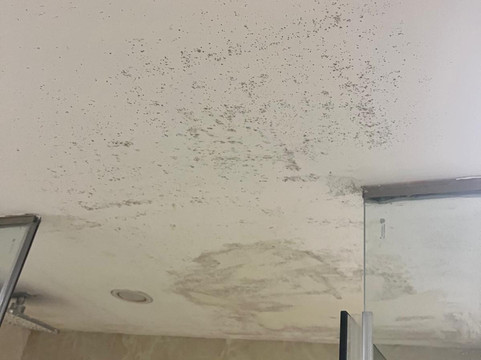 Hanoi City Backpackers Hostel主图