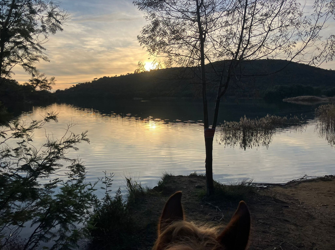 Aventure cheval. Randonnées à cheval-La Crau必去景点