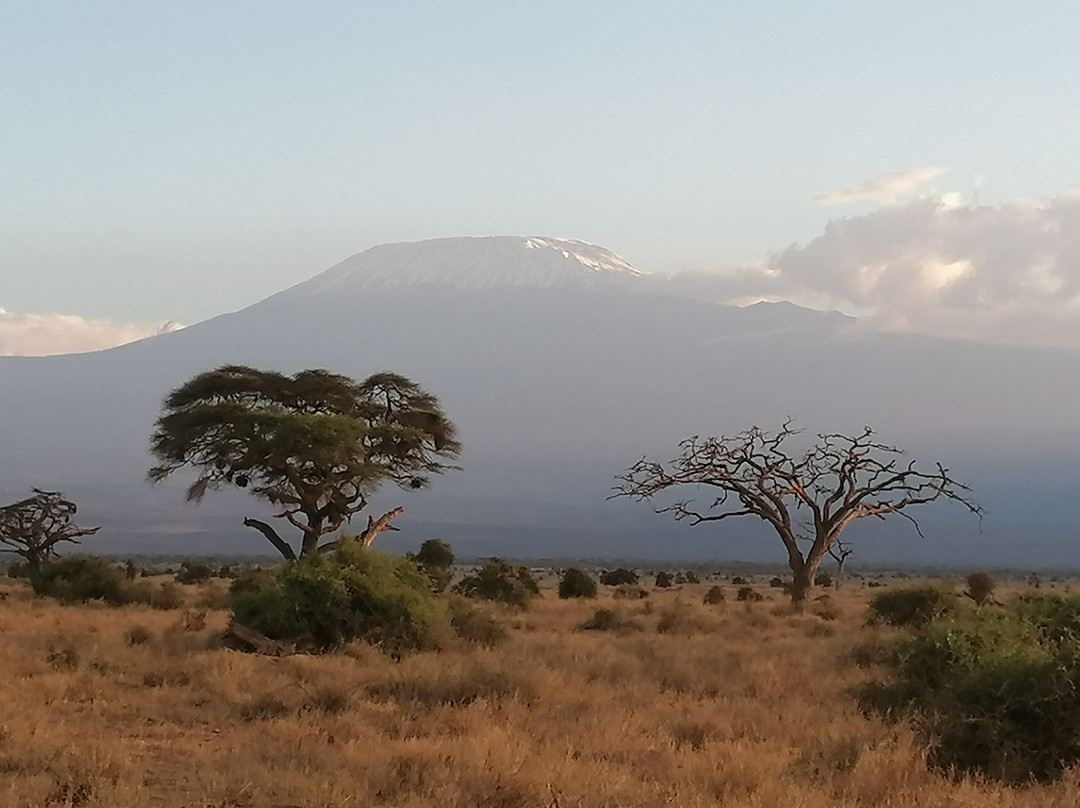 D.M. Tours & Safaris-查佛必去景点