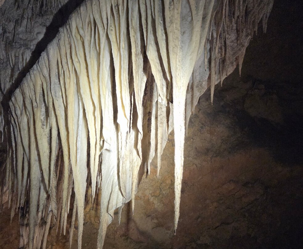 Marakoopa Cave-茉莉溪必去景点