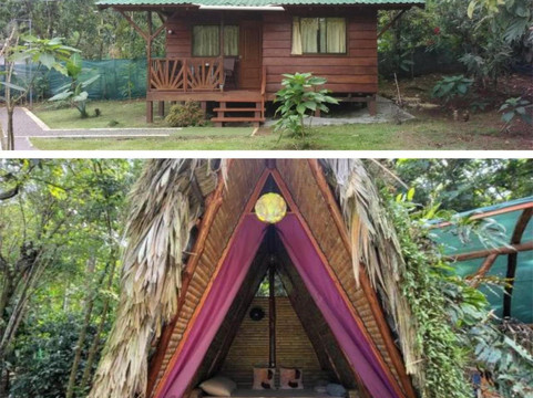 Centro Ananda