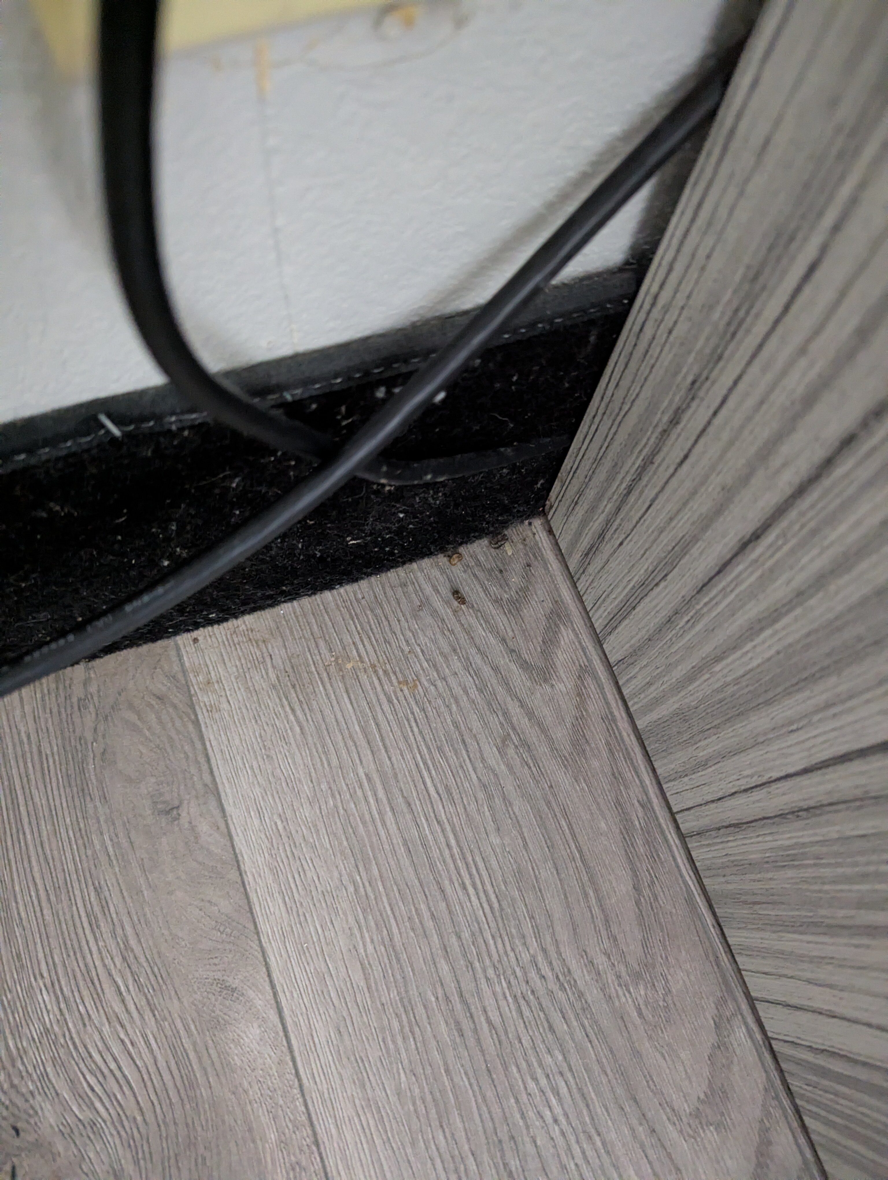 Baymont by Wyndham Peoria-客卧