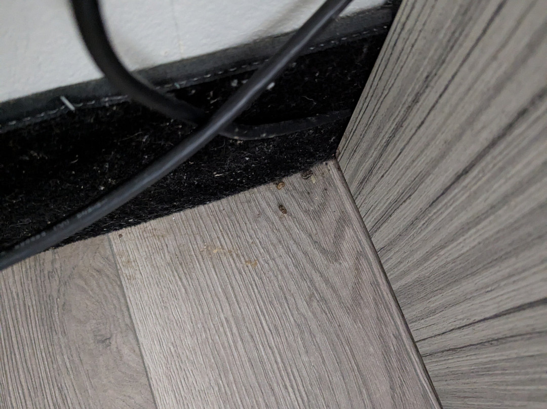 Baymont by Wyndham Peoria主图