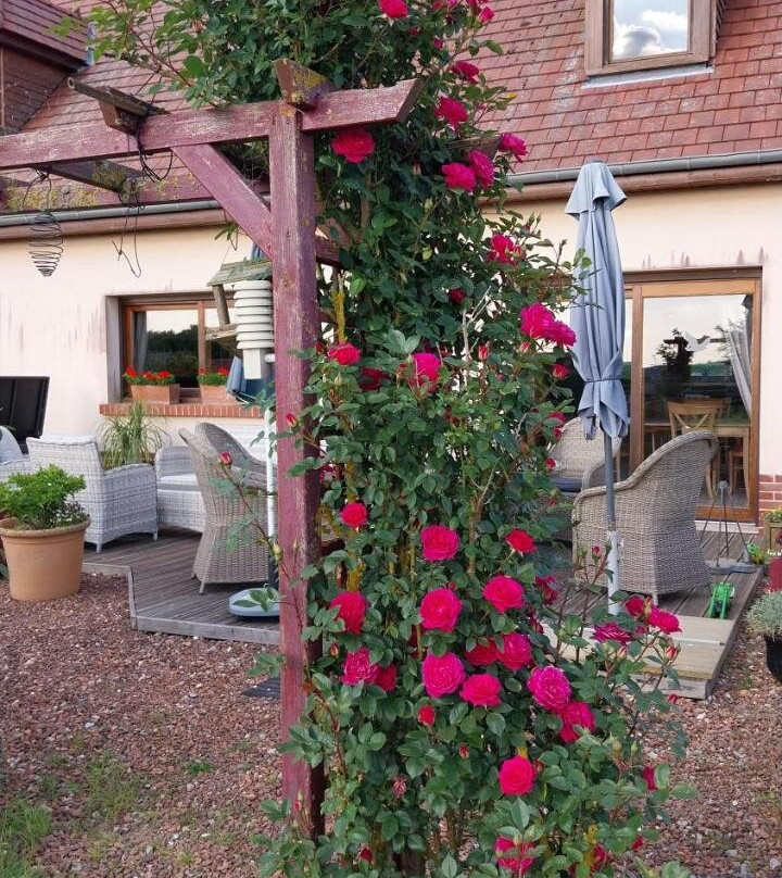 Le Clos Fleuri主图